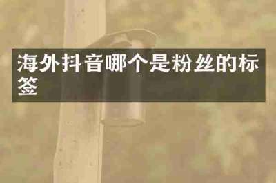 海外抖音哪个是粉丝的标签