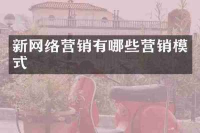 新网络营销有哪些营销模式