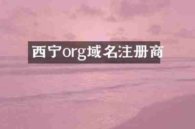 西宁org域名注册商