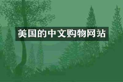 美国的中文购物网站