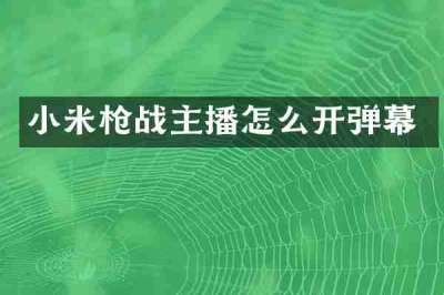 小米枪战主播怎么开弹幕
