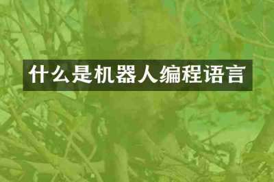 什么是机器人编程语言