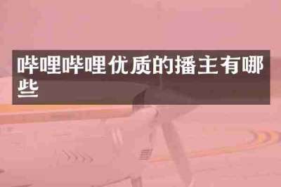哔哩哔哩优质的播主有哪些