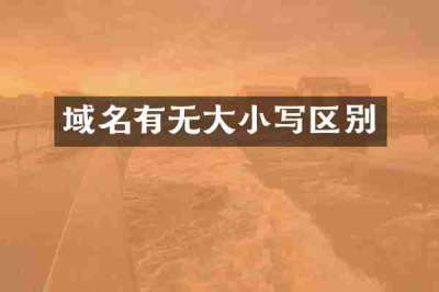 域名有无大小写区别