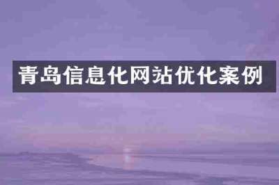 青岛信息化网站优化案例