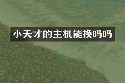 小天才的主机能换吗吗