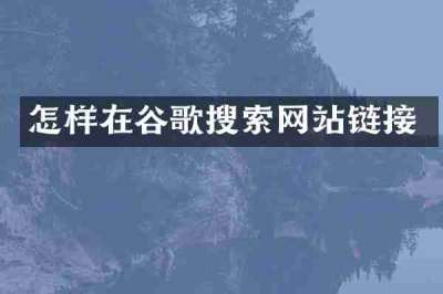 怎样在谷歌搜索网站链接
