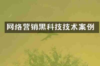 网络营销黑科技技术案例