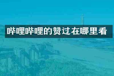 哔哩哔哩的赞过在哪里看